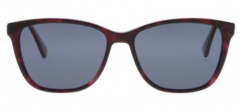 oprawki Bergman 5381-C6