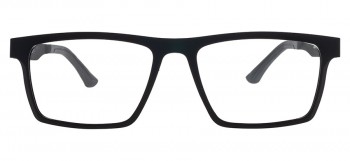 Bergman 4039-C6
